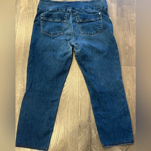 Rock & Republic  “Fever”  Pull On, size 16 - Picture 5 of 8